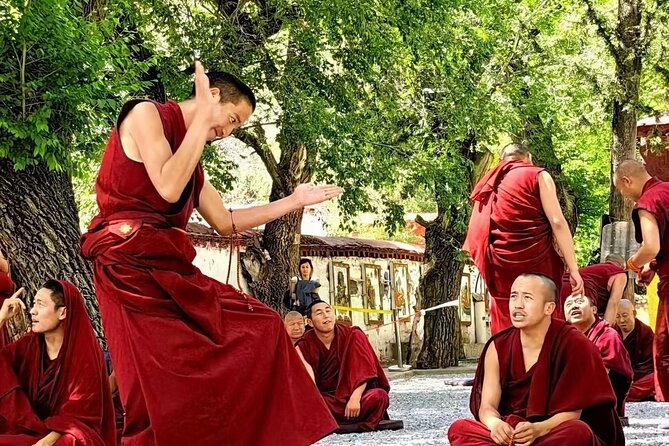 Private Guided Day Tour Potala Palace and Sera Monastery - Who this tour suits best, and who might want a different option