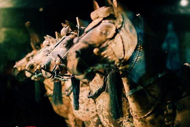 Private Half-Day Tour of Xi'an Terracotta Warriors - Tang Dynasty Show plus Shaanxi dumplings: the best reason to pick the afternoon