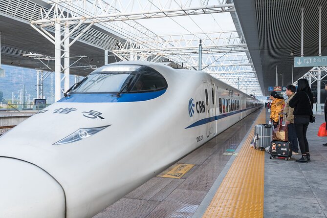 Private High-speed Train Arrival Transfer: Xi'an Bei (North) Station to Hotel - Meeting Your Driver: Name Sign, Train Details, and Quick Handoffs