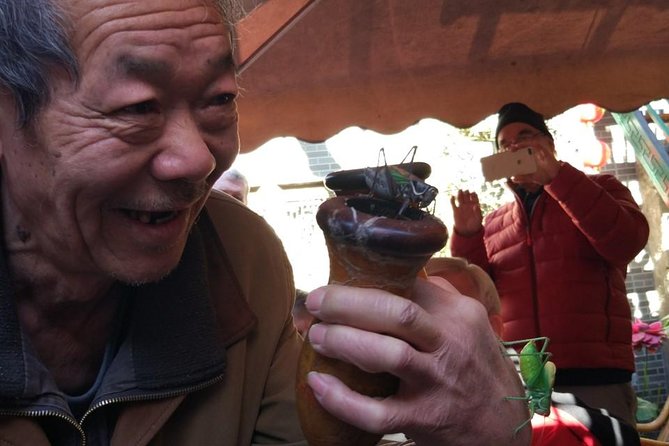 Private Hutong Culture Tour with Dumpling Cooking Class plus Cricket Fighting Game - Dumpling cooking with a local family, plus the cricket fighting game