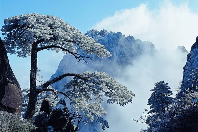Private Photography Day Tour of Huangshan Yellow Mountain - A private photo day on Huangshan, built for pacing