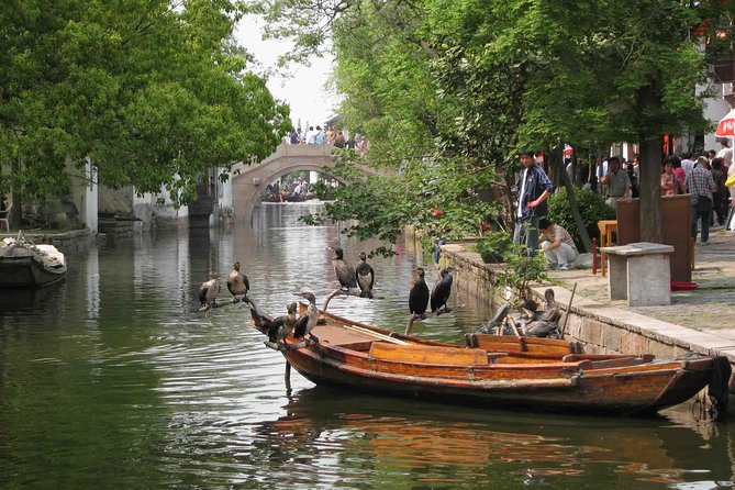 Private Round Trip Transfer to Suzhou & Zhouzhuang from Shanghai - Key highlights if you want Suzhou and Zhouzhuang with minimal stress