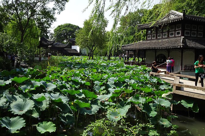 Private Suzhou Day Tour from Shanghai to Classical Gardens and Tongli Water Town - Who this tour fits best, and who should think twice