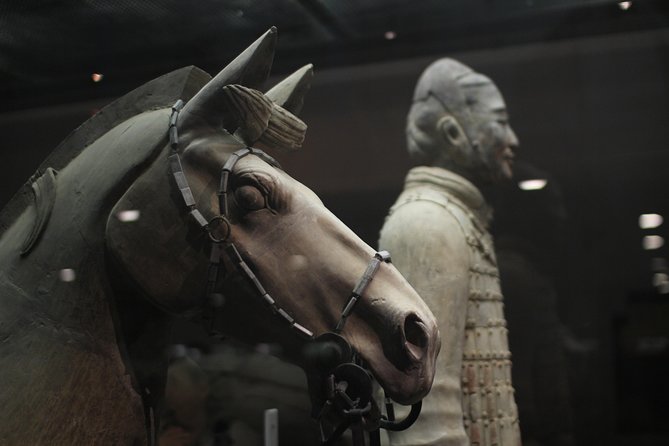 Private Tour: 2-Day/3-Day Xi'an Round-Trip from Shanghai by Air - Why this private Xi’an plan feels efficient, not rushed