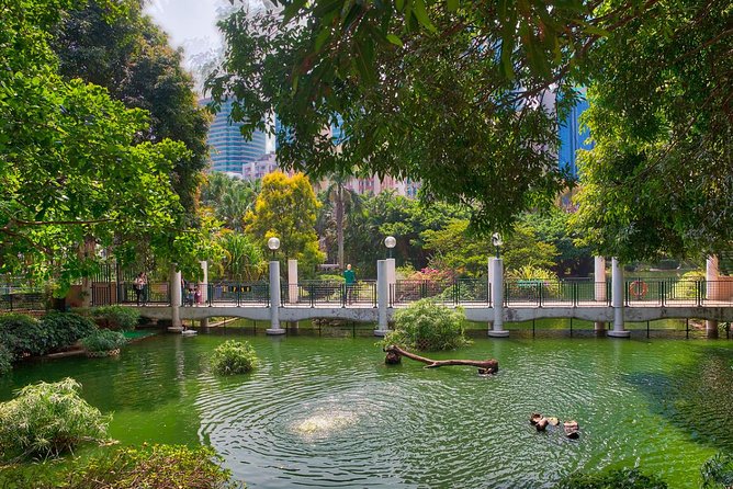 Private Tour: Customized 6-Hour Hong Kong City Tour - HSBC Main Building, 20 minutes of colonial banking footprints