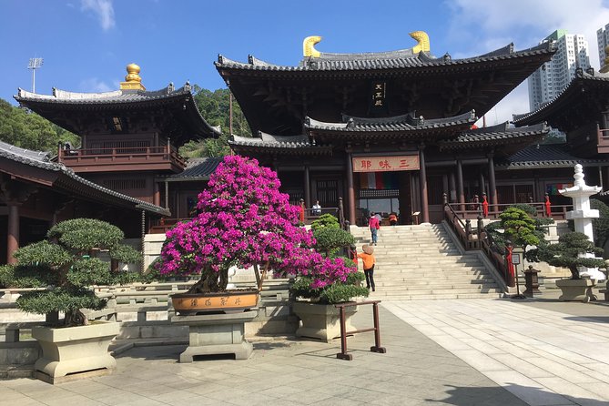 Private tour - Hong Kong's major sites and history - Key Highlights That Matter on the Ground