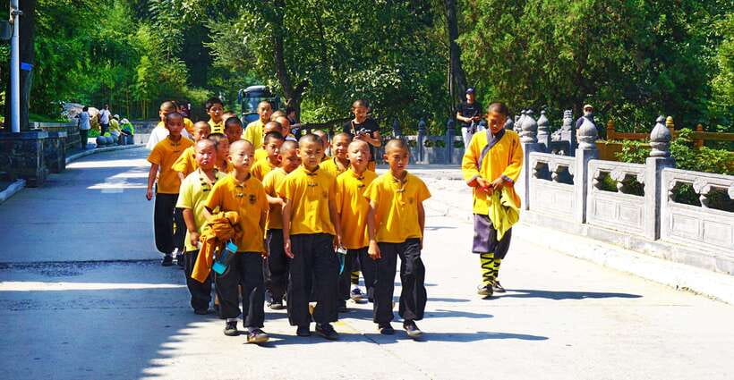 Private Tour: Longmen Grottoes, Shaolin Temple & Kungfu Show - Why this private day links Longmen Grottoes with Shaolin in one run