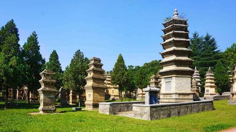 Private Tour: Longmen Grottoes, Shaolin Temple & Kungfu Show - Price and logistics: what $158 gets you (and what it avoids)