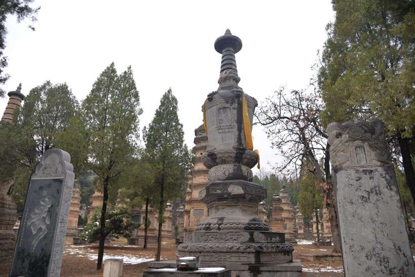 Private Tour: Longmen Grottoes, Shaolin Temple & Kungfu Show - Who this private tour suits best, and who should think twice