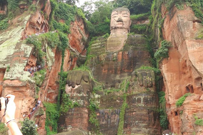 Private Tour of Chengdu Panda Center and Leshan Giant Buddha - What the Private Format Changes (In a Good Way)