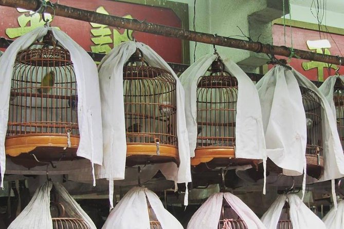 Private tour of Hong Kong - First timers - Man Mo Temple: local religion and superstition in plain language