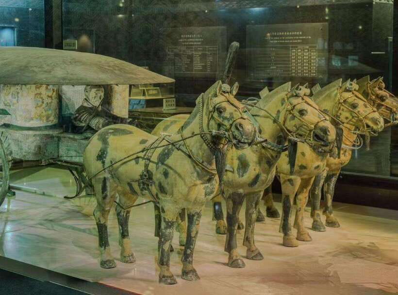 Private Tour of Terracotta Army & Tomb of First Emperor - Qinshihuang Mausoleum Site Museum: over 7,000 warriors without the extra hassle