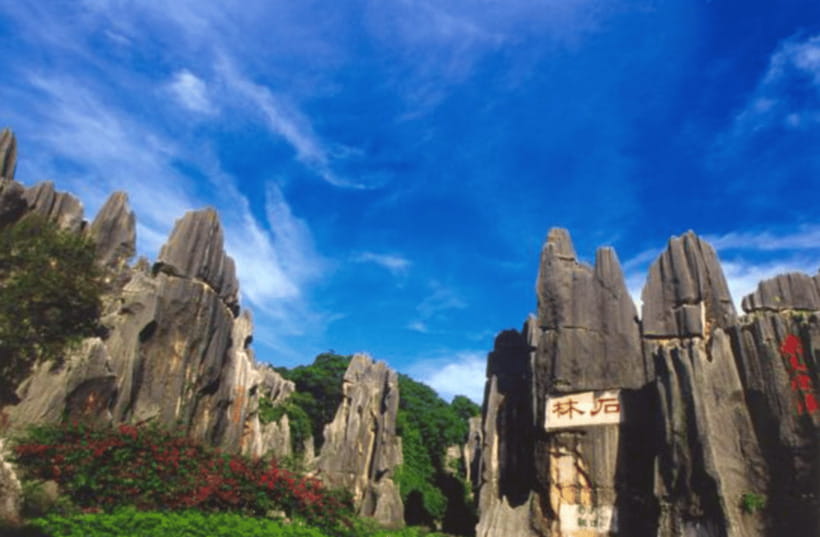 Private tour to Kunming Stone forest - The 6-hour private plan, hotel pickup and battery car help