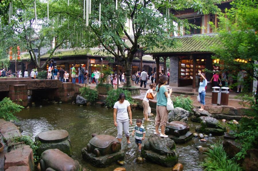 Private Tour to Leshan Giant Buddha & Huanglongxi Old Town - Temples, banyan trees, and why main street wandering is the point