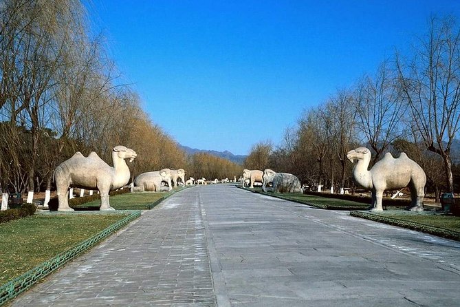 Private Tour to Mutianyu Great Wall and Ming Tombs - Ming Tombs at Tianshou Mountain: Sacred Way First, Then Choose Your Tomb
