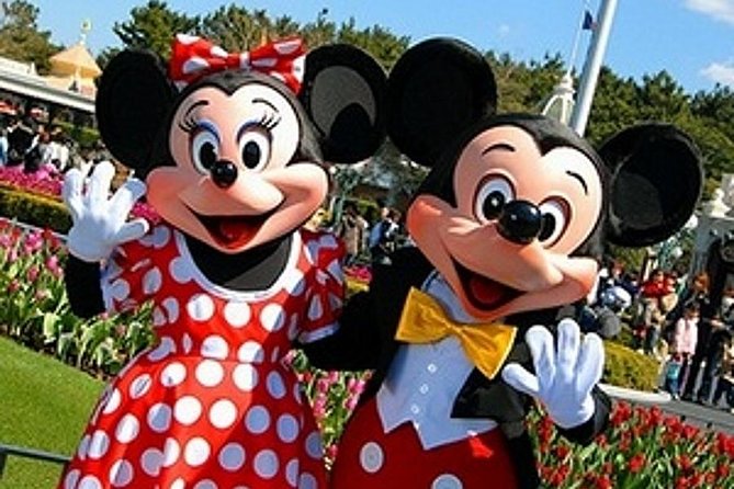 Private Transfer from Shanghai Pudong Airport to Shanghai Disneyland - Finding your driver fast at Shanghai Pudong