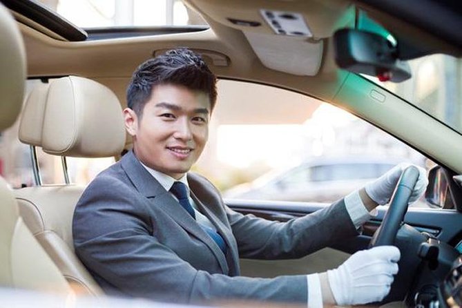 private transfer from Wusongkou CruisePort to Disneyland and back - The Ride Itself: Private Vehicle Comfort With Clear, Pre-Confirmed Details