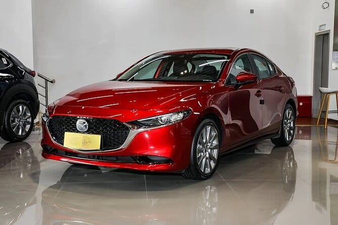 Private Transfer in Shenzhen with English Service - Choosing the Right Vehicle for Your Group Size