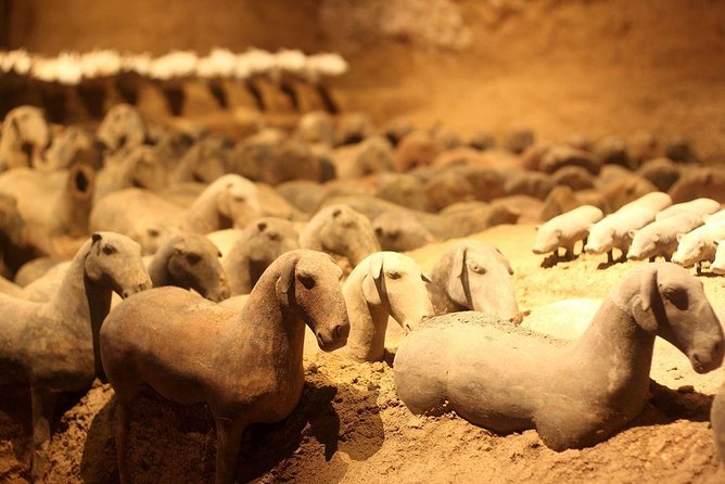 Private Xi'an Tour: Terracotta Warriors, Hanyangling Museum, Cave Homes - Start Easy: Hotel Pickup and Private Transport