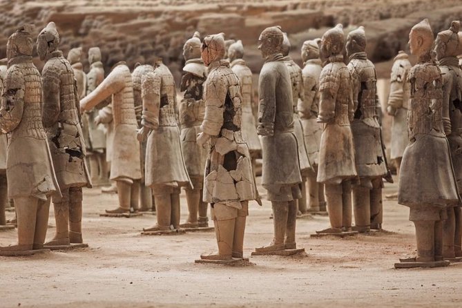 Private Xian Day Tour: Terracotta Warriors, Big Wild Goose Pagoda - Grand Tang Dynasty Ever Bright City plus Tang Paradise Night Market time