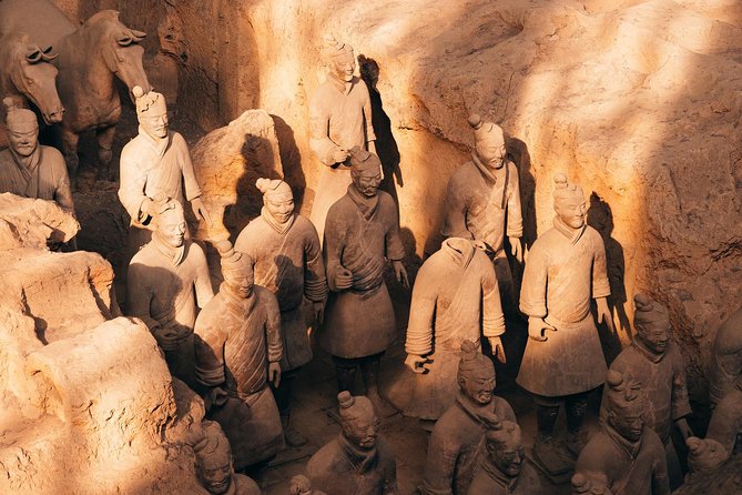 Private Xian Day Tour: Terracotta Warriors, Big Wild Goose Pagoda - Museum of Qin Terra-cotta Warriors and Horses: what 2.5 hours should feel like
