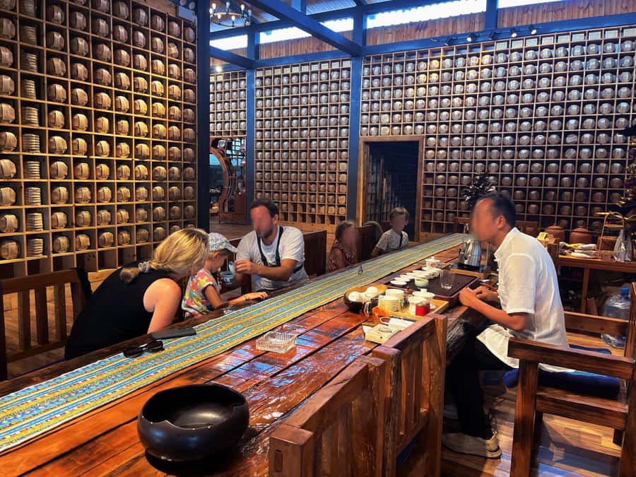 Puer Tea Picking and Tasting | 6 Hour Morning Trip - Tea tasting session: how to read Pu’er when styles differ