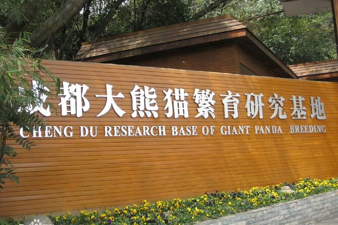 Sanxingdui Ruins and Giant Pandas Private Day Tour from Chengdu - Sanxingdui Ruins in late afternoon: walking history without the museum fatigue