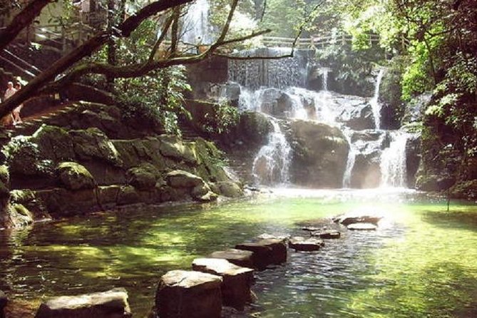 Seven Star Crag and Dinghu Mountain private day tour from Guangzhou - Price and Timing, Is $300 Per Person Good Value?