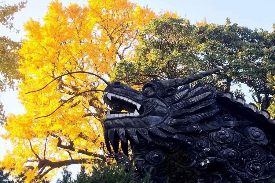 Shanghai: 3-Hour Old Shanghai City Tour - Who should book this tour, and who might not enjoy it