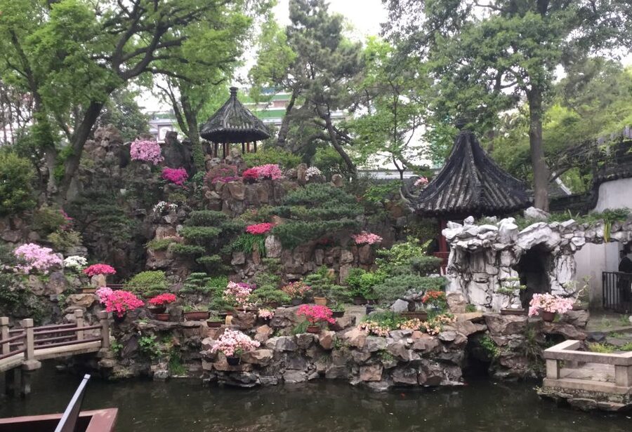 Shanghai: 8-Hour Guided Tour of Old and New City Highlights - Pickup, private van comfort, and how customization plays out