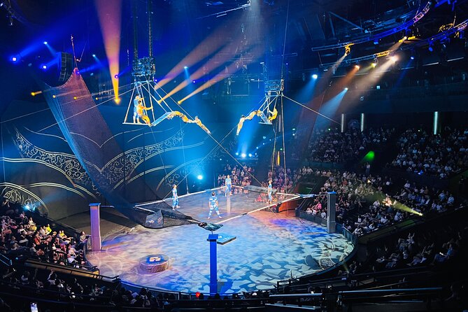 Shanghai Circus World ERA Theatre Acrobatics Ticket - Key highlights to know before you go