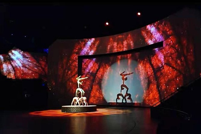Shanghai ERA-Acrobatic Show Ticket with Private Transfer - Why the ERA show feels like a proper evening plan