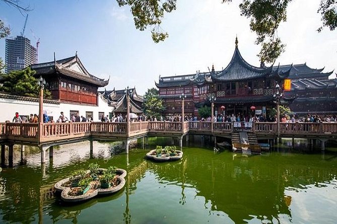 Shanghai in a Day: A Whirlwind Tour of the City's Highlights - Dim sum lunch: the included meal you should actually plan around
