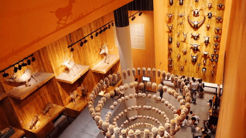 Shanghai: Natural History Museum Admission entry ticket - Guided services in Chinese: when it helps and when it won’t