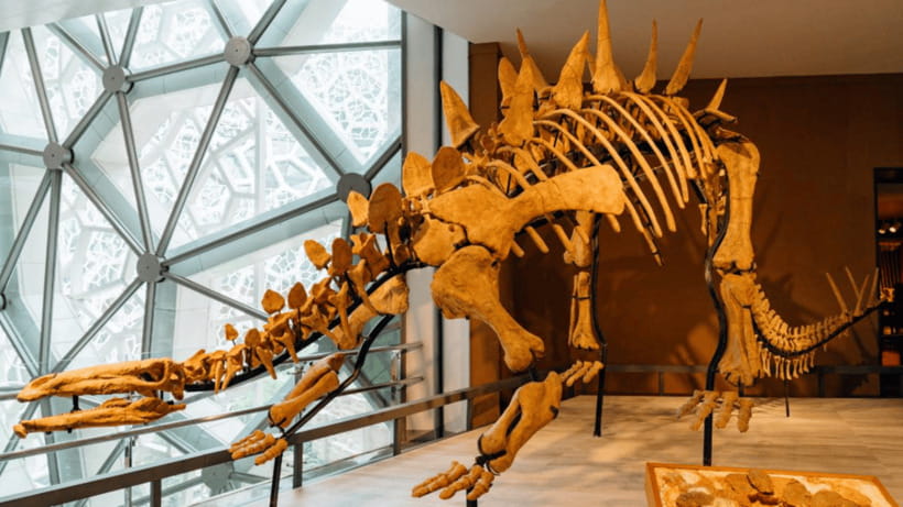 Shanghai: Natural History Museum Admission entry ticket - Biodiversity, evolution, and ecology: making sense of the big picture
