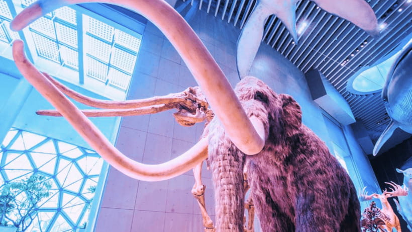 Shanghai: Natural History Museum Admission entry ticket - Interactive science experiences: how the museum earns your attention