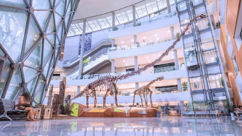 Shanghai: Natural History Museum Admission entry ticket - Marine life, wildlife specimens, and the reason it feels modern