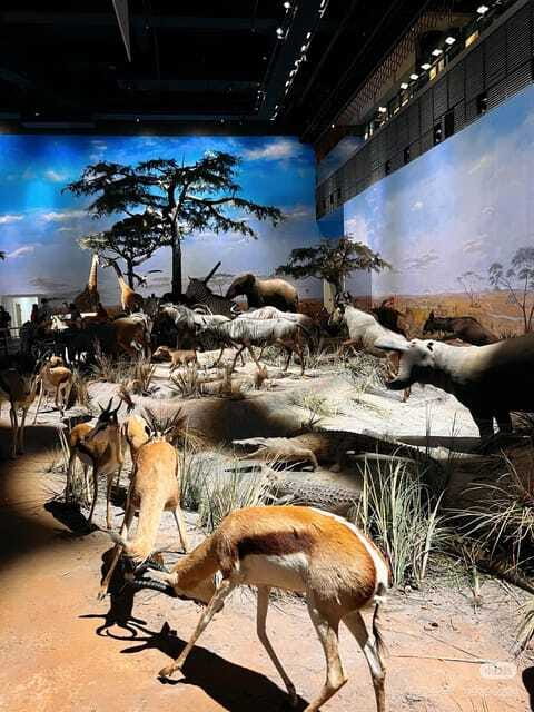 Shanghai: Natural Museum tickets with guide(optional) - Should you book this Shanghai Natural History Museum ticket?