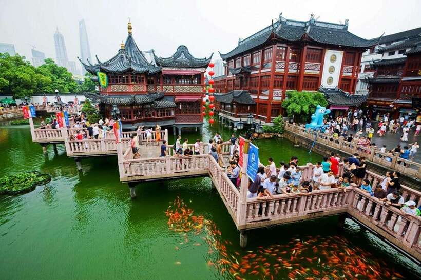 Shanghai One Day City Private Tour by German-Speaking Guide - A smart way to see Shanghai in 8 hours with real context
