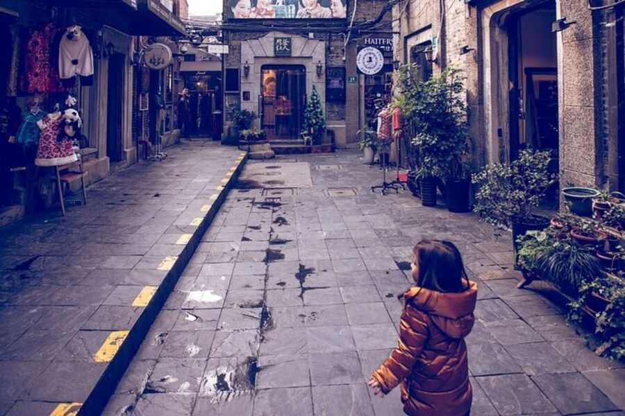 Shanghai: Private custom tour with a local guide - Street food and tea ceremony moments you can ask for directly