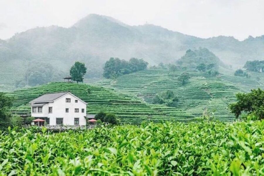 Shanghai: Private Guided Tour to Hangzhou by Bullet Train - The Booking Detail That Changes the Day: Downtown Pickup Rules