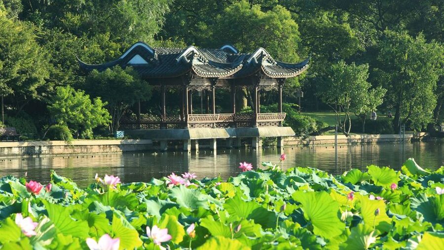 Shanghai: Private Guided Tour to Hangzhou by Bullet Train - Morning in Shanghai: How the Day Gets Started