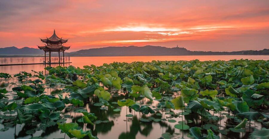 Shanghai: Private Guided Tour to Hangzhou by Bullet Train - Who This Tour Fits Best (and Who Might Not)