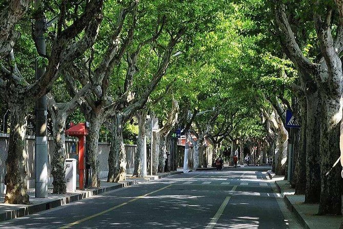 Shanghai Propaganda and History Walking Tour - Stop 2: Soong Ching-ling Memorial Residence and the Human Side of the Era