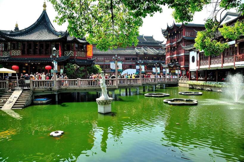 Shanghai: Top 5 Highlights All Inclusive Private Day Tour - Lunch Break: Shengjian Dumplings Plus Beer or Soft Drinks