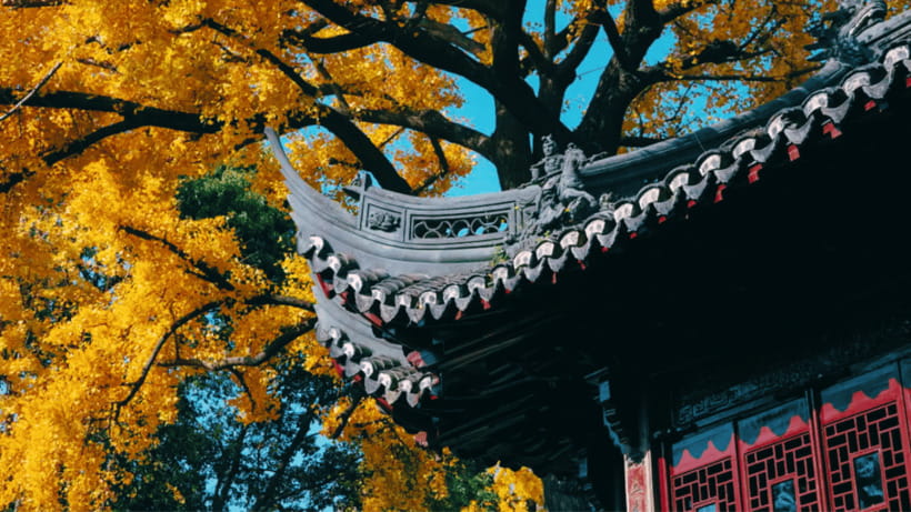 Shanghai: Yu Garden Admission Ticket - Ming and Qing relics, what you should look for in the preserved interiors