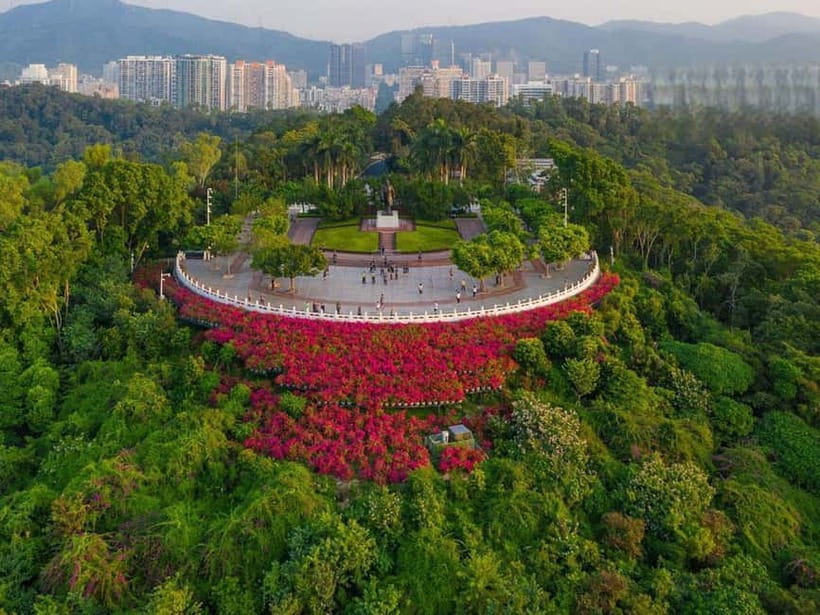 Shenzhen:8h City Walk & Future Experience Highlights Trip - Tips That Make the Day Feel Easier
