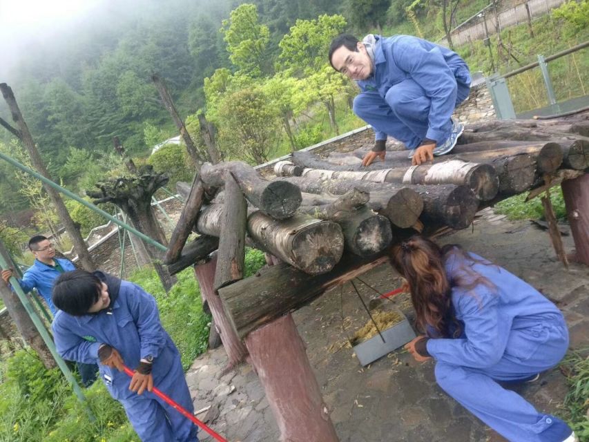 Sichuan: Big Panda Volunteer Day tour - Key highlights that make this panda day different
