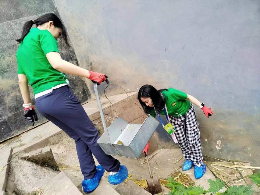 Sichuan: Big Panda Volunteer Day tour - Price and value: is $347 fair for a full-day panda care role?