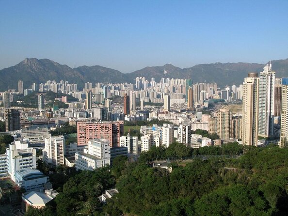Small Group Kowloon Michelin Rated Street Food and Culture Tour - Key highlights to clock before you go